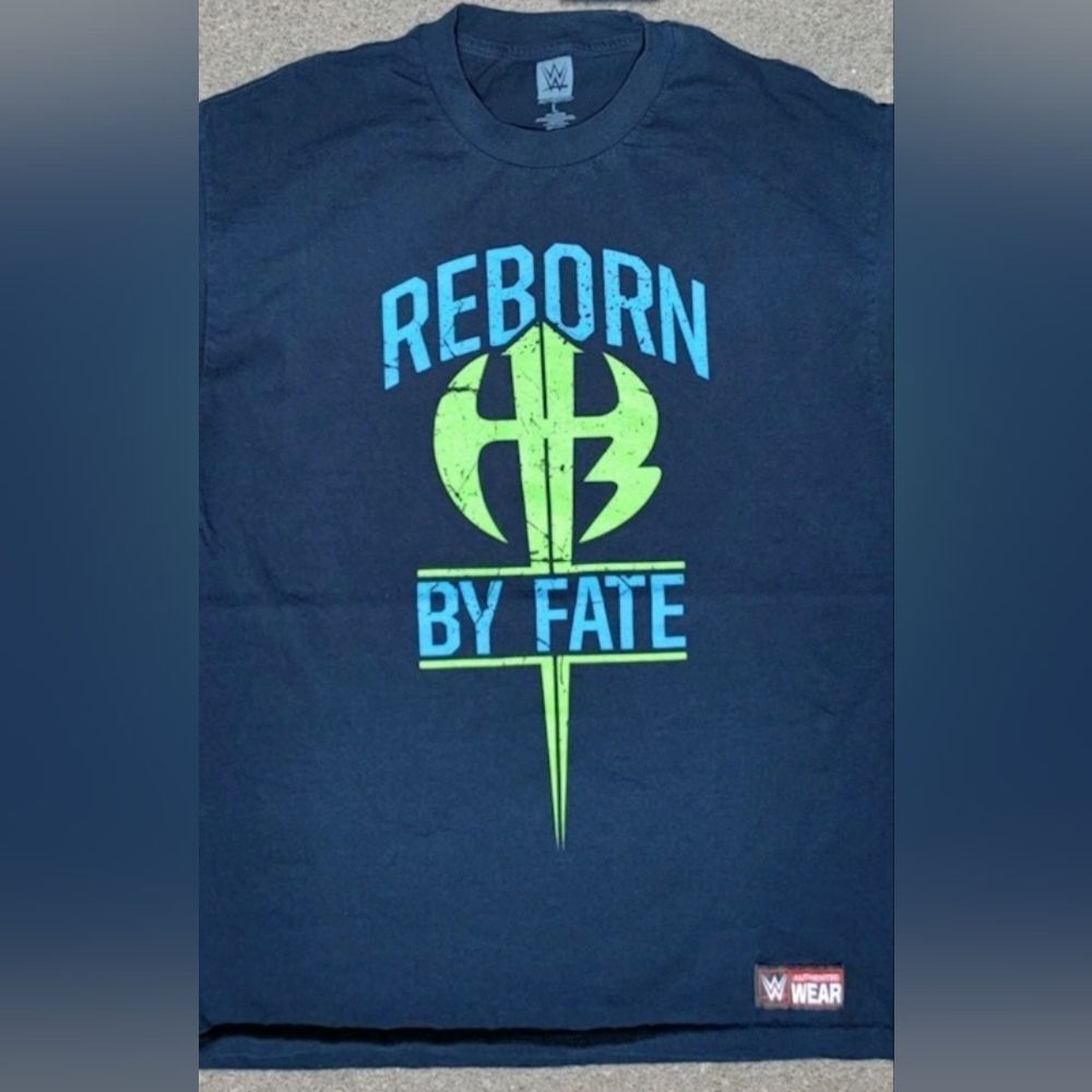 Vtg 2017 WWE Authentic The Hardy Boyz Reborn By Fate T-Shirt Size (L) - Picture 3 of 5